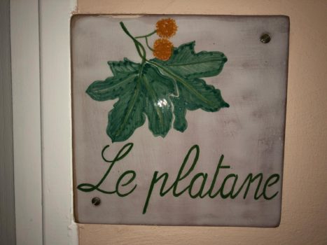 <h3>Le Platane</h3>