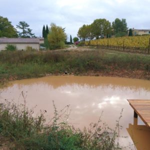 Die kleineren Sammelbecken haben sich im regnerischen Sommer 2018 bereits gefüllt.