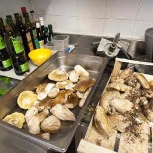 Wein und frische Pilze
