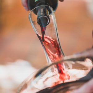 Weinkurs Basis: Die Freude am Wein entdecken